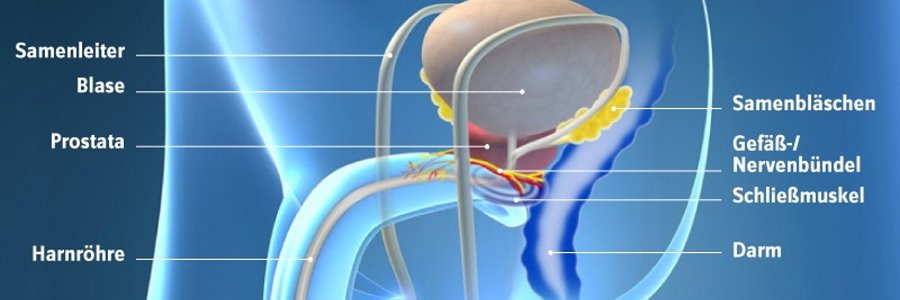 Vorbeugen von Prostatakrebs